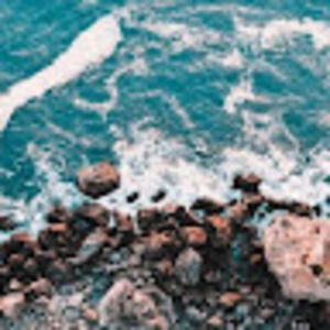 Meet your Posher, Ann